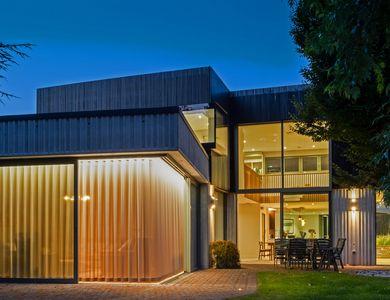 Collie Beag, Cambridge, Vereinigtes Königreich