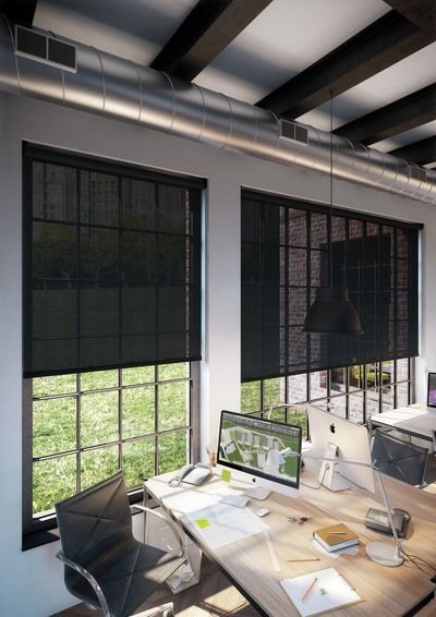 Rollo-Systeme, SG 4930, Versascreen 1-10%