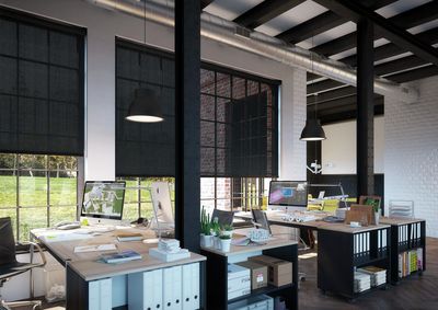 Systèmes stores enrouleurs, SG 4930, Versascreen 1-10%